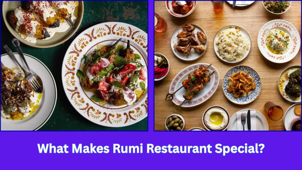 rumi restaurant What Makes Rumi Restaurant Special