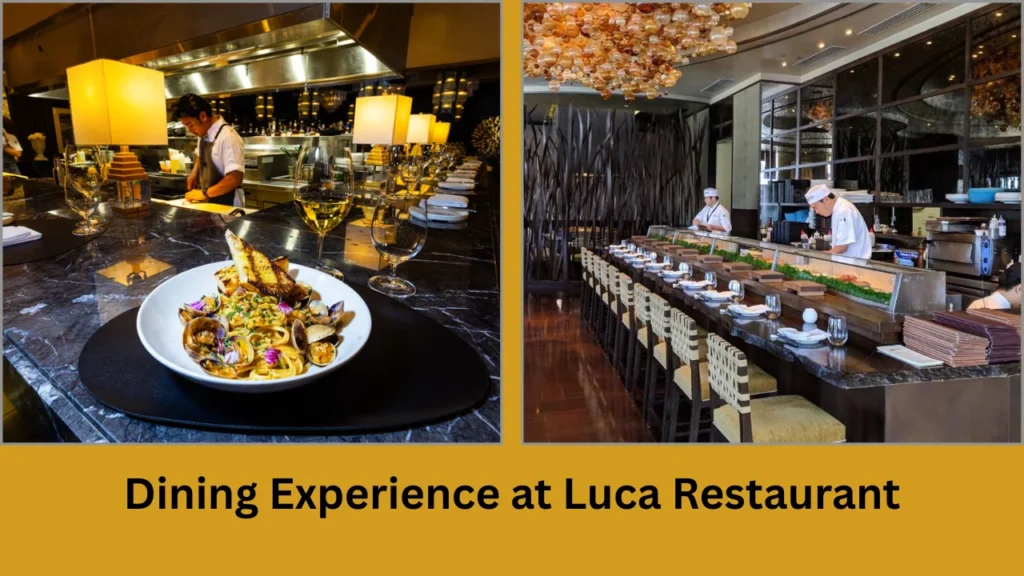 luca restaurant Dining Experience at Luca Restaurant