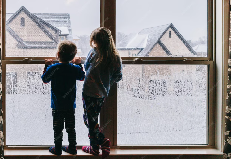 A Homeowner’s Guide to Choosing the Best Windows for Canadian Winters