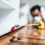 Early Signs of a Pest Infestation Every Homeowner Should Know