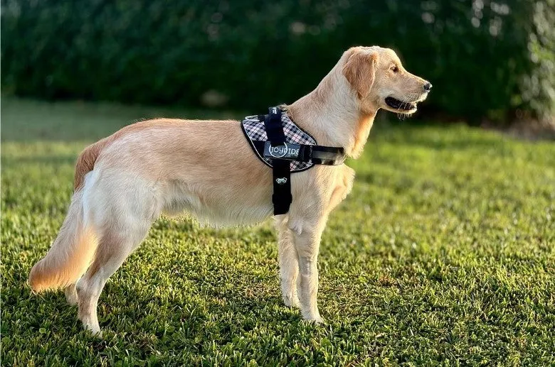 The Benefits of No-Pull Dog Harnesses: Why Your Dog Needs One